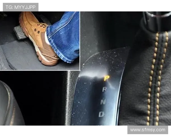 飞机自动油门系统伺服电机扭矩